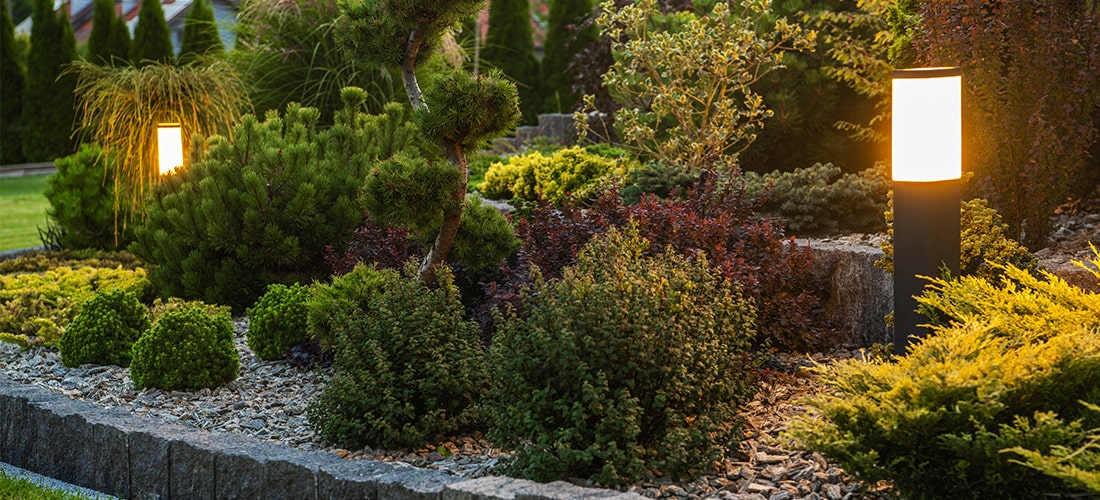 Outdoor post light tucked in-between bushes and foliage in gardens.